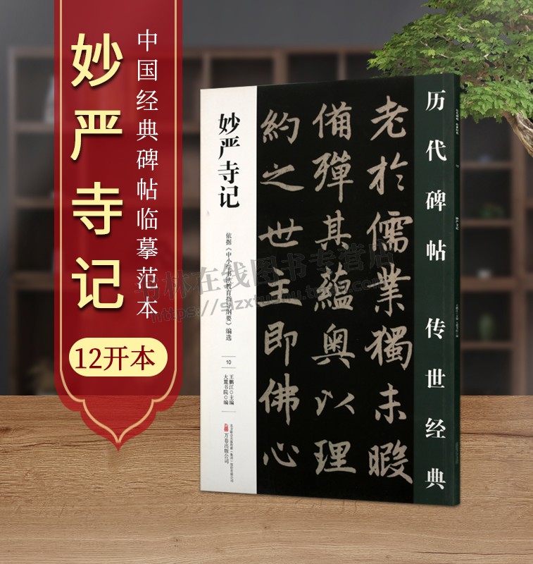 妙严寺记 王鹏江 主编;大麓书院 编 著 书法/篆刻/字帖书籍艺术毛笔