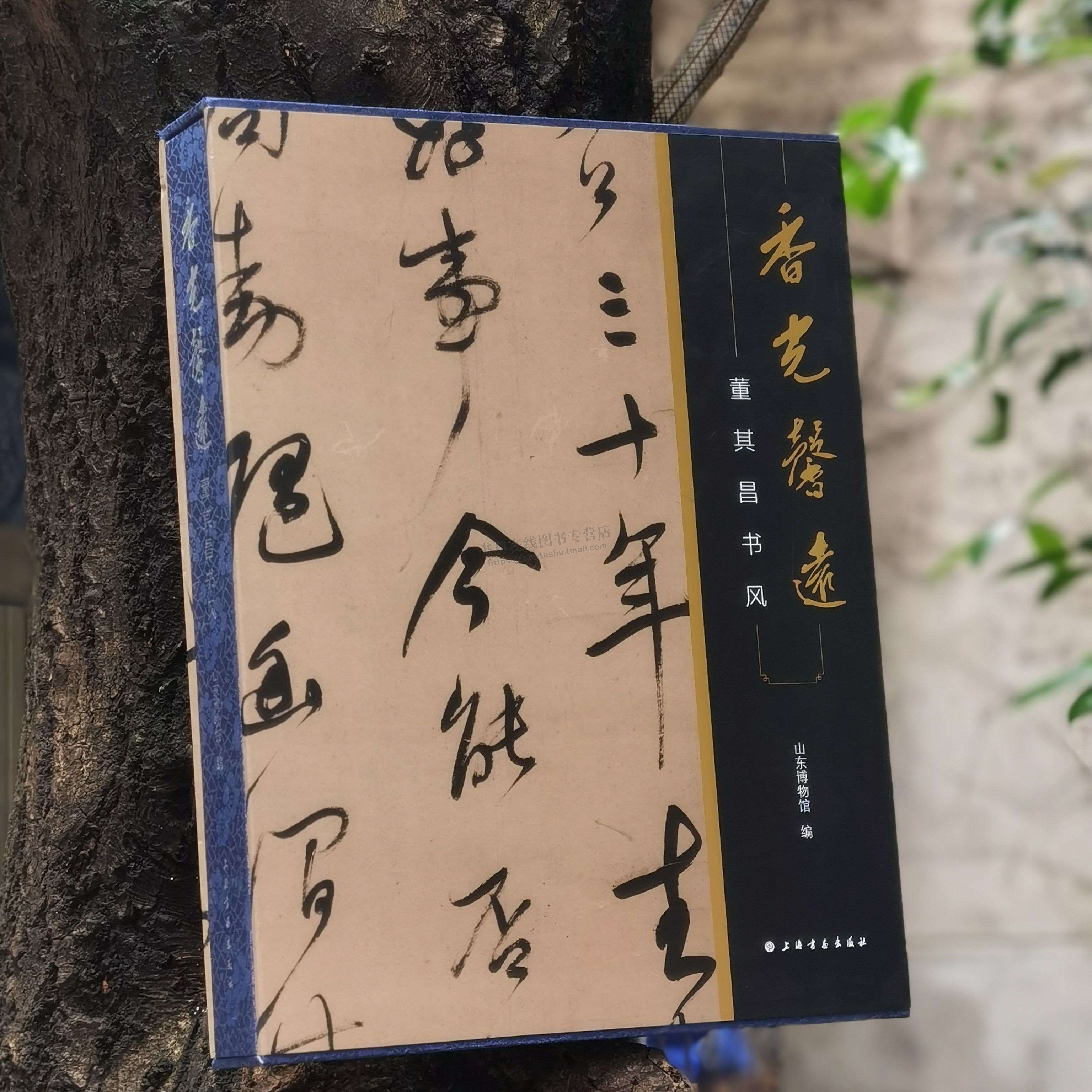 香光馨远 董其昌书风 董其昌流派书法展览配套图书 书画书籍 吴门书法 董其昌书风展示 上海书画出版社
