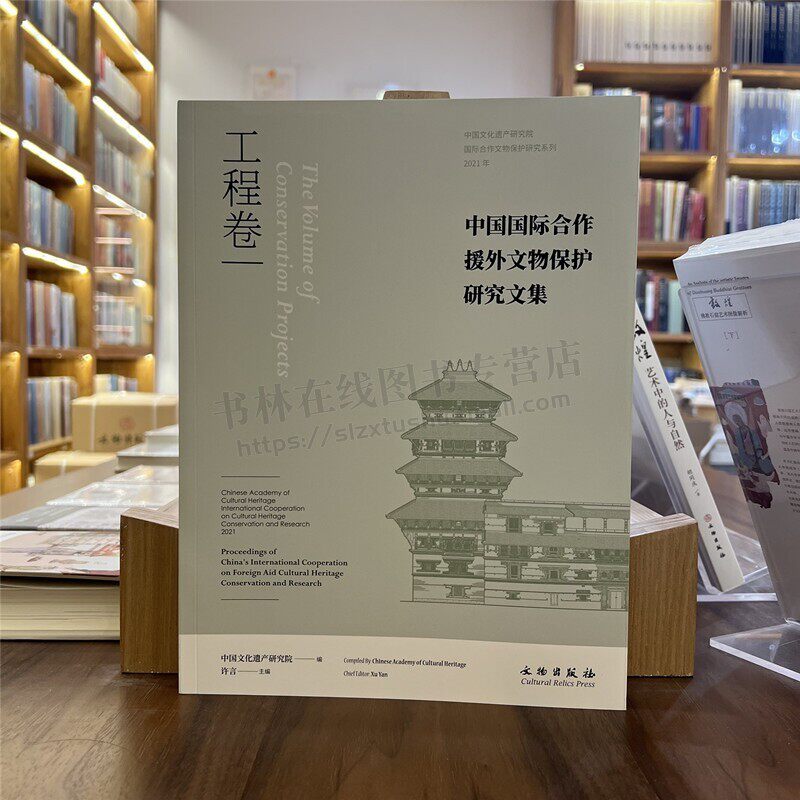 中国国际合作援外文物保护研究文集：工程卷【平】中国文化遗产研究院 著  文化遗产保护修复工程项目实录 文物出版社