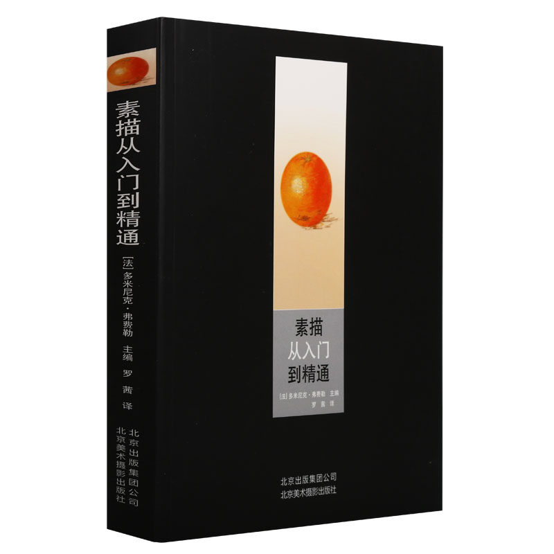 《素描从入门到精通》多米尼克·弗费勒著素描画绘画技法提升技巧基础练习主要画笔用具自然元素静物人物画动物风景北京美术摄影