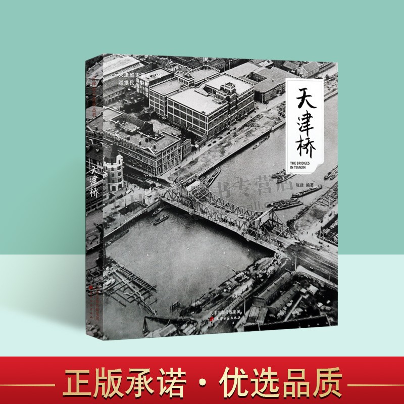 天津市景观 天津桥 摄影集图册桥梁建筑艺术城市典型代表历史照片资料国家老照片照片老画报图片图料老建筑名胜店面照片书籍