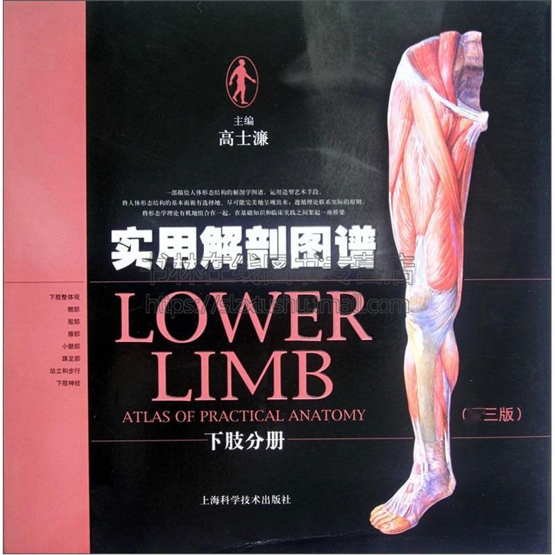 实用解剖图谱下肢分册di三版 高士濂编医学类工具书基础知识结构要点治疗原则医学教材经典著作 畅销书籍 正版 上海科学技术出版社