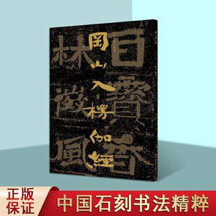 中国石刻书法精粹 冈山入楞伽经  赖非  编  艺术书法篆刻字帖书籍  山东美术出版社