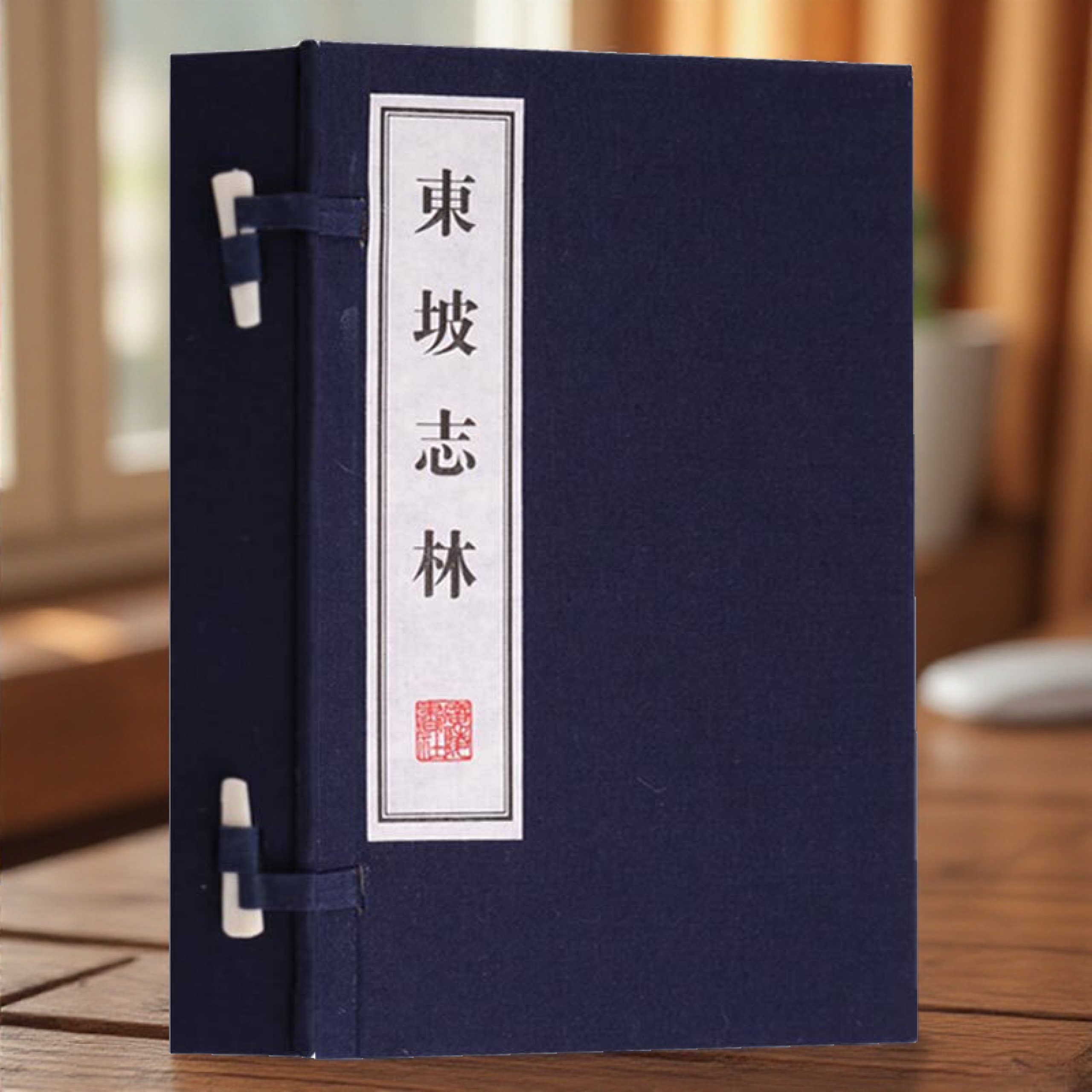 东坡志林 苏轼苏东坡诗词集宋代古诗词名家作品集鉴赏书籍 宣纸线装一函二册竖版繁体字 广陵书社