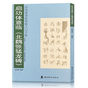 启功体意临 北魏张猛龙碑 启功体书法风格入门字帖 楷书碑帖临摹参照字帖 毛笔书法教程