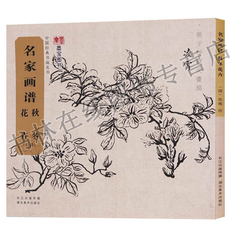名家画谱 秋冬花卉(白描)清代书画家张熊祥国画花鸟画作品集临摹鉴赏