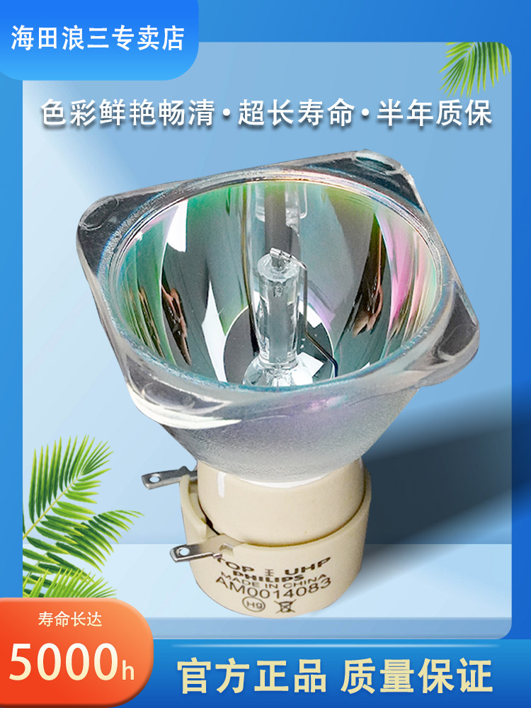 丽讯投影机仪灯泡 理光投影机仪灯泡 优派投影机仪灯泡 富可视投影机仪灯泡