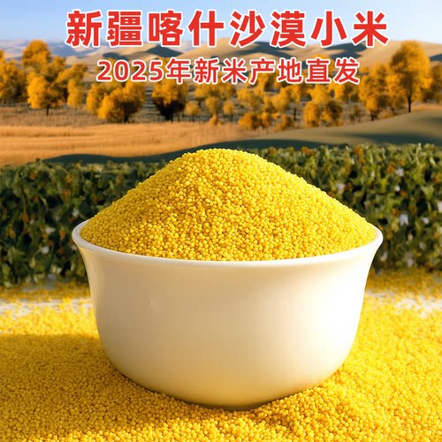 新疆沙漠小米优质小米