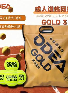 欧帝尔ODEA成人高级训练球GOLD 3高弹耐打DD3训练球60粒袋装网球