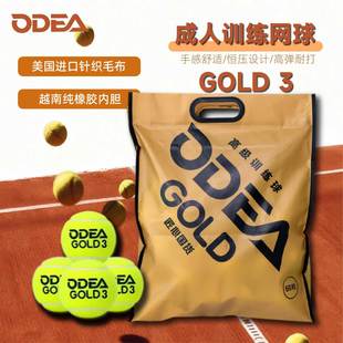欧帝尔ODEA成人高级训练球GOLD 网球 3高弹耐打DD3训练球60粒袋装