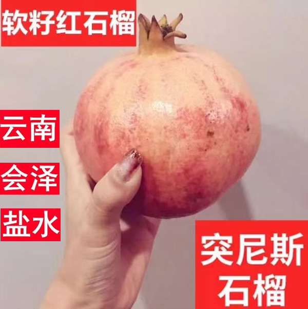 云南会泽盐水新鲜突尼斯软籽石榴