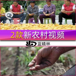 新农村乡村气象贫困户脱贫现代发展攻坚战干部开会议农业视频素材