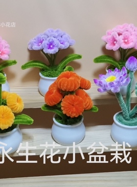 扭扭棒成品手工制作小盆栽节日活动礼物送老师送朋友送孩子送闺蜜