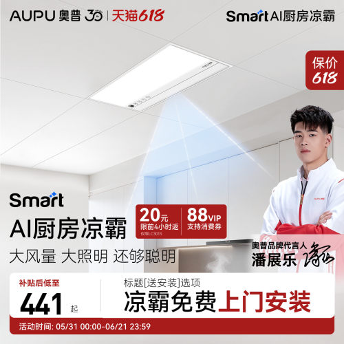 抗油烟滤网负离子净化摆页吹风无线遥控照明