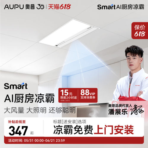 抗油烟滤网负离子净化摆页吹风无线遥控照明