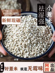 500 2浦城小薏米仁新货糯杂粮非贵州苡意薏仁米茶红豆