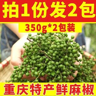 青花椒 四川特产鲜藤椒特香特麻鲜花椒新鲜生花椒酉阳麻椒特散装