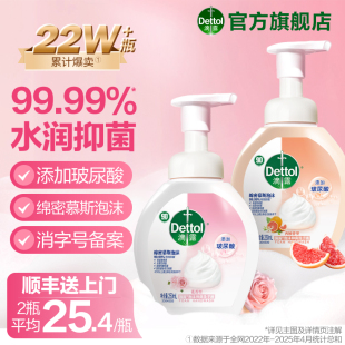 护手儿童学生家用官方正品 滴露泡沫抑菌洗手液玻尿酸成分保湿