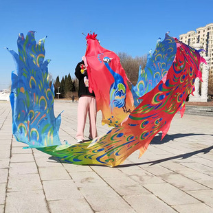 广场舞龙彩带健身龙手甩龙中老年人耍龙头钢架道具运动中国龙绸带