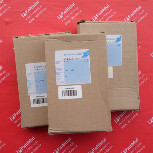 议价E+H FTL375P-F1E1 恩德斯豪斯全新液位检测 nivotseter FTL 3