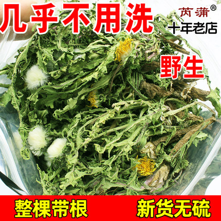 芮蒲野生蒲公英茶整根株正品特新鲜晒干货级女性婆婆丁带中草材浦