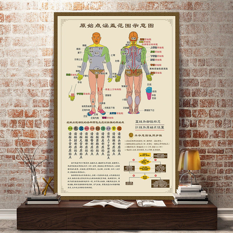 原始点海报医学挂图各部位位置及其涵盖范围示意图脑中风急救手法