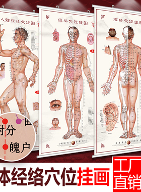 中医图解背部人体经络穴位图大挂图养生馆宣传画针灸推拿海报全身
