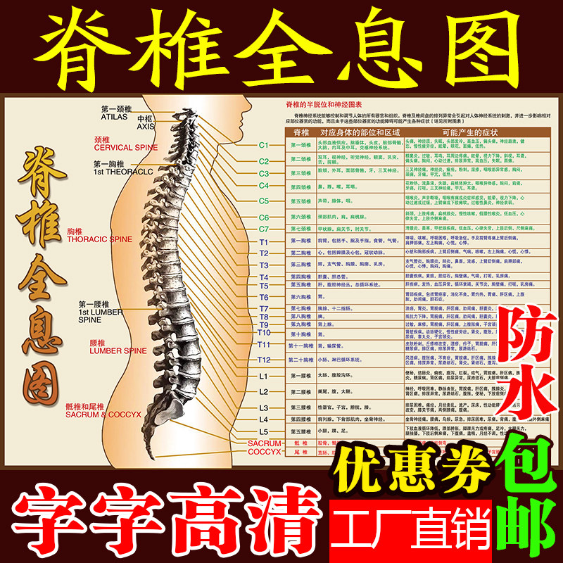 人体经络脊椎全息图脊椎的半脱位和神经图表反射区病症对照大海报