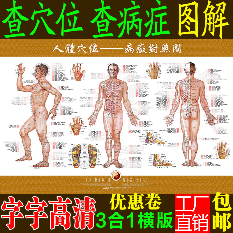 人体经络穴位图全身人体经穴与病症对照图解中医养生艾灸推拿挂图