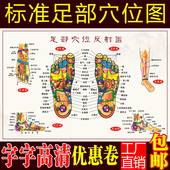 足底按摩穴位图足部反射区大挂图人体足部经络穴位图挂图宣传挂画