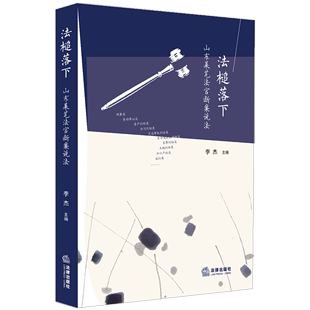 正版 法槌落下：山东莱芜法官断案说法 李杰 交通事故纠纷 车祸赔偿 家事纠纷 案例故事 莱芜市法院审理案件 法律 9787519730819