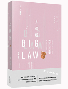 大律所 （美）林赛˙卡梅伦著，孙林、段静译 法律出版社旗舰店