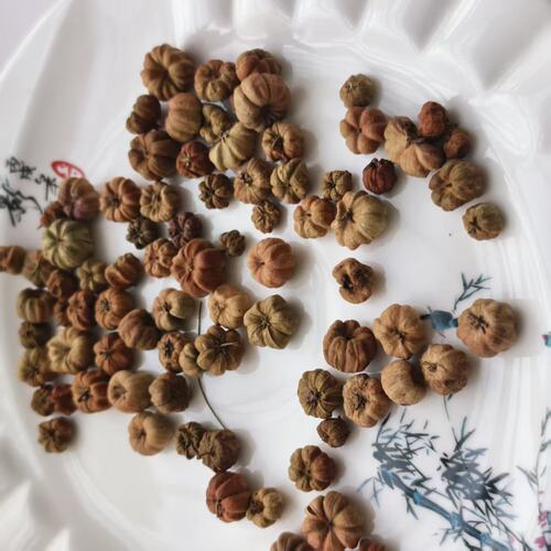 小桔瓜进口植物干花果实 永生花香薰香包 森系花环玻璃罩材料
