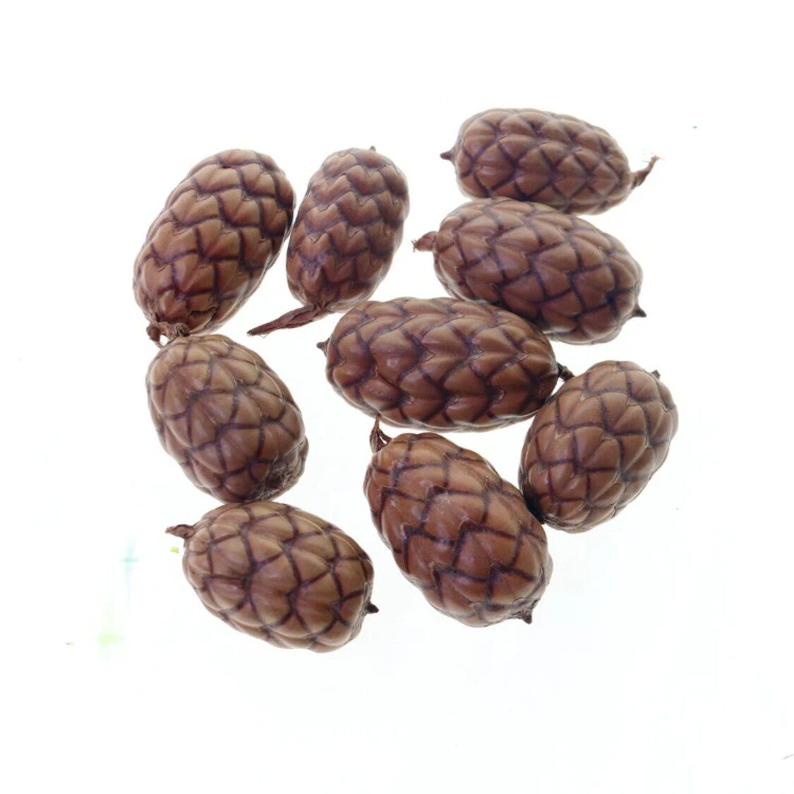 酒椰果棕榈科盘玩手把件天然植物标本果子diy手工材料装龙鳞果