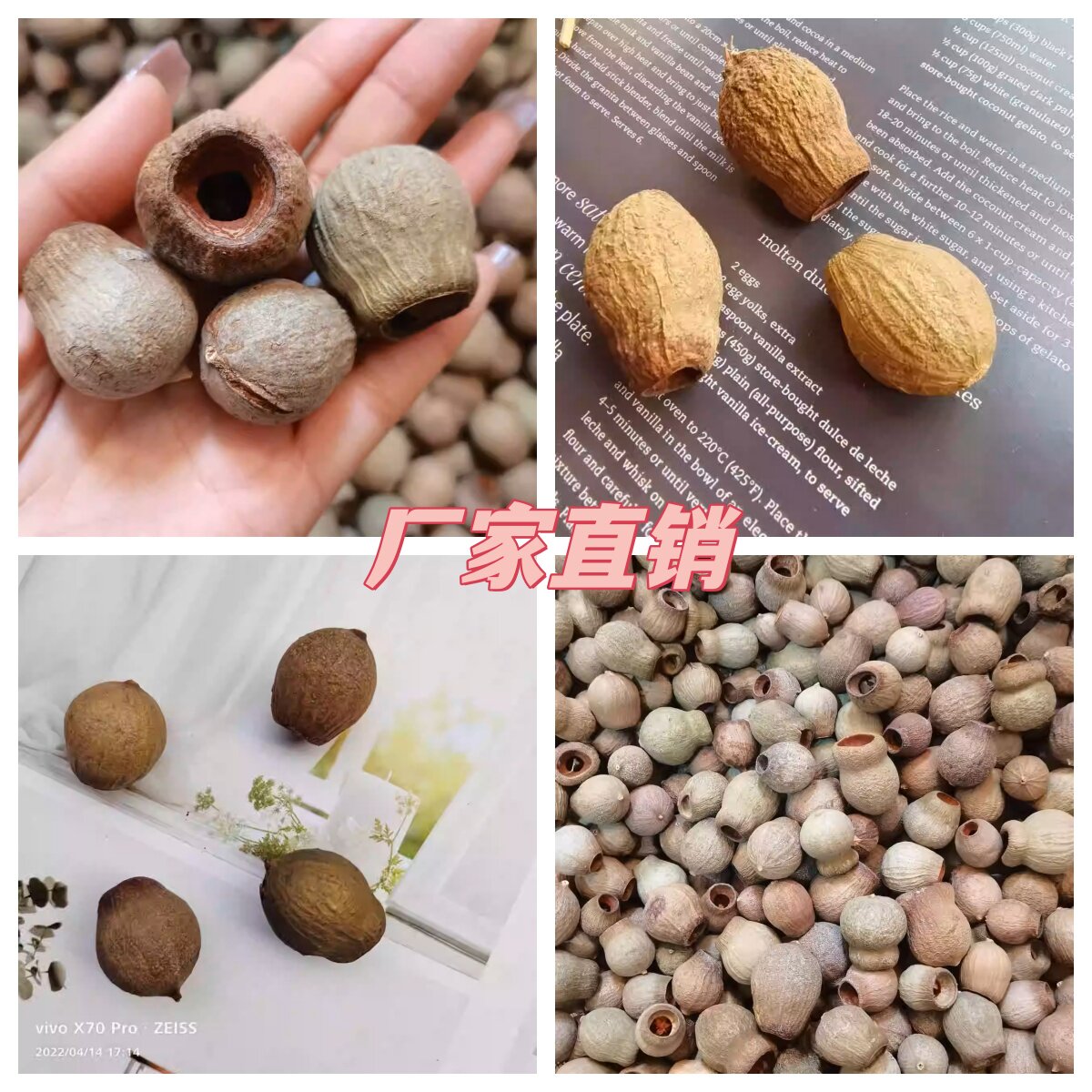 【咕嘟果】天然植物干花干果实森系创意设计花环相框圣诞制作材料
