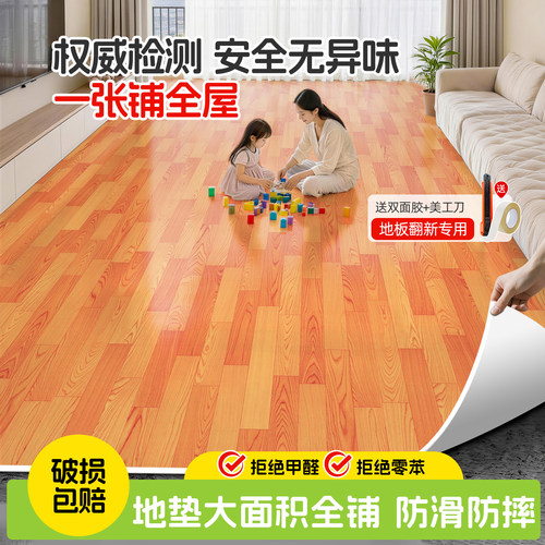 防滑耐磨加厚家用地毯
