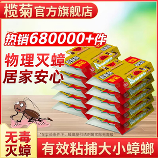 榄菊蟑螂屋贴粘板非蟑螂药家用非无毒全窝端全魔盒捕捉灭消杀除蟑