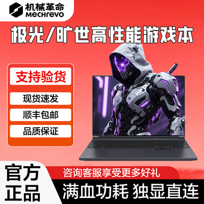 MECHREVO/机械革命极光X旷世X