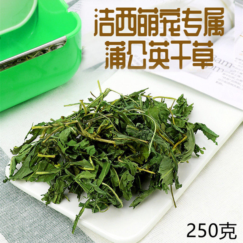 蒲公英草干草叶子宠物兔子草粮饲料龙猫荷兰猪豚鼠牧草 250克,宠物/宠物食品及用品,兔兔干草,淘宝优惠券,粉丝福利购,淘宝优惠卷