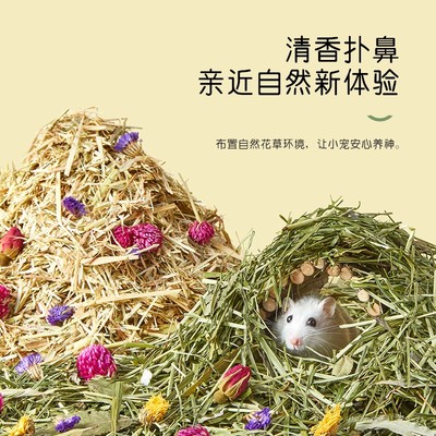 洁西花草垫料除臭木屑造景装饰