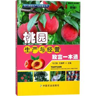 果园开发建设管理施肥书 高效种植桃树病虫害诊断防治 水蜜桃黄桃蟠桃有机无公害桃树栽培种植技术书籍 桃园生产与经营致富一本通