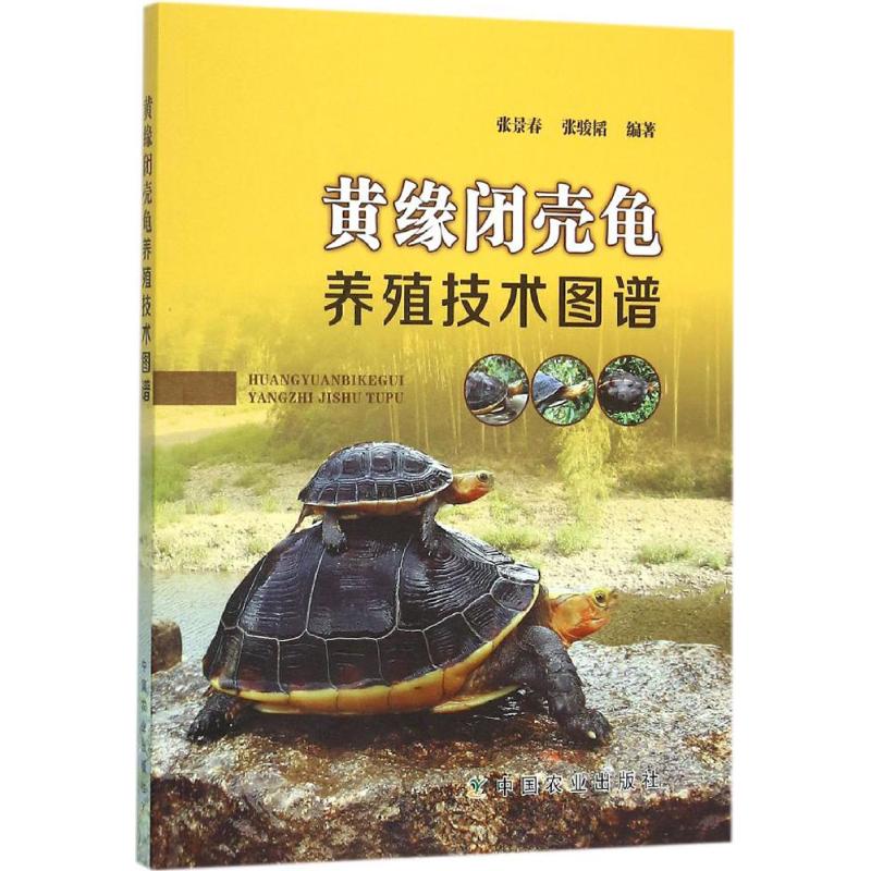 黄缘闭壳龟养殖技术图谱张景春张骏韬编著养龟书籍以图文并茂形式介绍黄缘闭壳龟的专业书籍乌龟疾病诊断与治防书籍