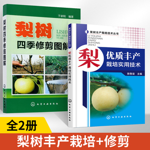 果树丰产栽培技术丛书梨优质丰产栽培实用技术+梨树四季修剪图解全2册梨树种植技术大全书果树病虫害图谱与防治嫁接技术图解书