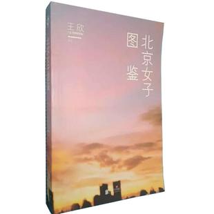 职场小说 著 电影电视剧小说 杜拉拉升职记 青春言情小说现代都市女性群体 北京女子图鉴 10个北漂故事 王欣
