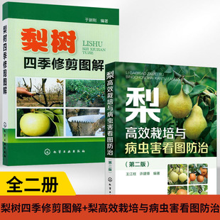 【全2册】梨树四季修剪图解【新】+梨高效栽培与病虫害看图防治(第二版)梨树栽培技术 新农业林业水果种植技术图书 化学工业出版