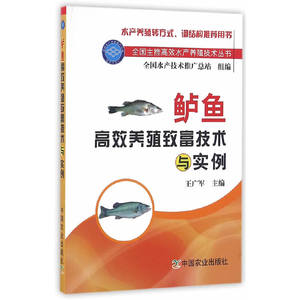 养鱼书籍鲈鱼高效养殖致富技术与实例鱼病快速诊断与防治技术养鱼技术书鲈鱼养殖技术淡水鱼鱼病防治人工繁殖苗种培育病害防治