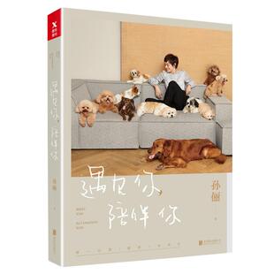 遇见你，陪伴你 孙俪的书 分享她和动物之间的故事 养狗猫书籍手册 宠物大全百科 猫咪狗狗不是故意的 我的养猫书关于爱与陪伴