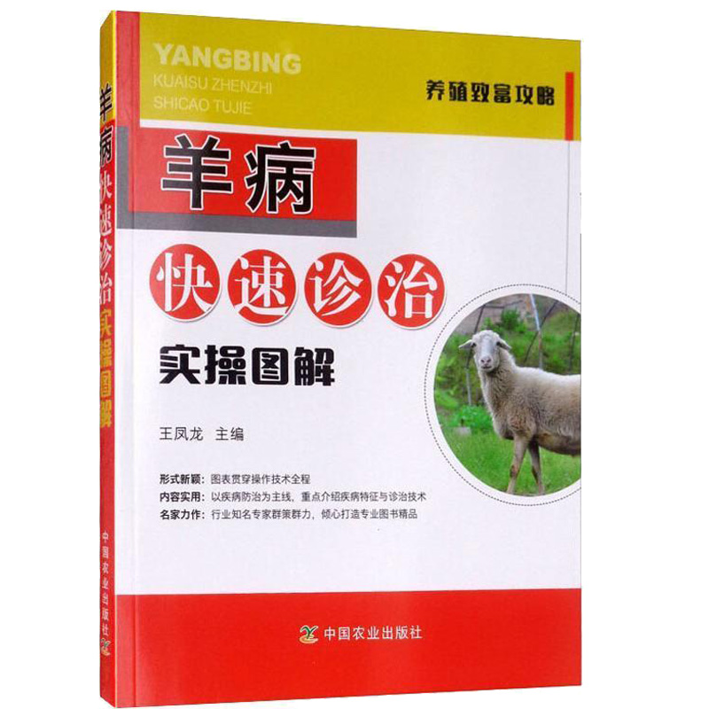 羊病快速诊治实操图解 养殖致富攻略 羊场管理与疾病防控 羊病**全书 羊病诊断及**羊群饲养管理养羊技术书籍家禽畜牧养殖书籍
