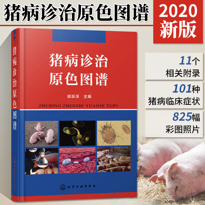 猪病诊治原色图谱 护理养猪书籍手册猪病学高效技术大全猪病快速诊断与防治秘籍用药信号诊治现代生产教程教材基础知识养殖猪书