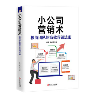 赵涛 赵彦锋著 市场营销书 极简团队 企业管理书籍 经商营销管理 高效营销法则 营销策划书籍 小公司营销术 市场营销书籍
